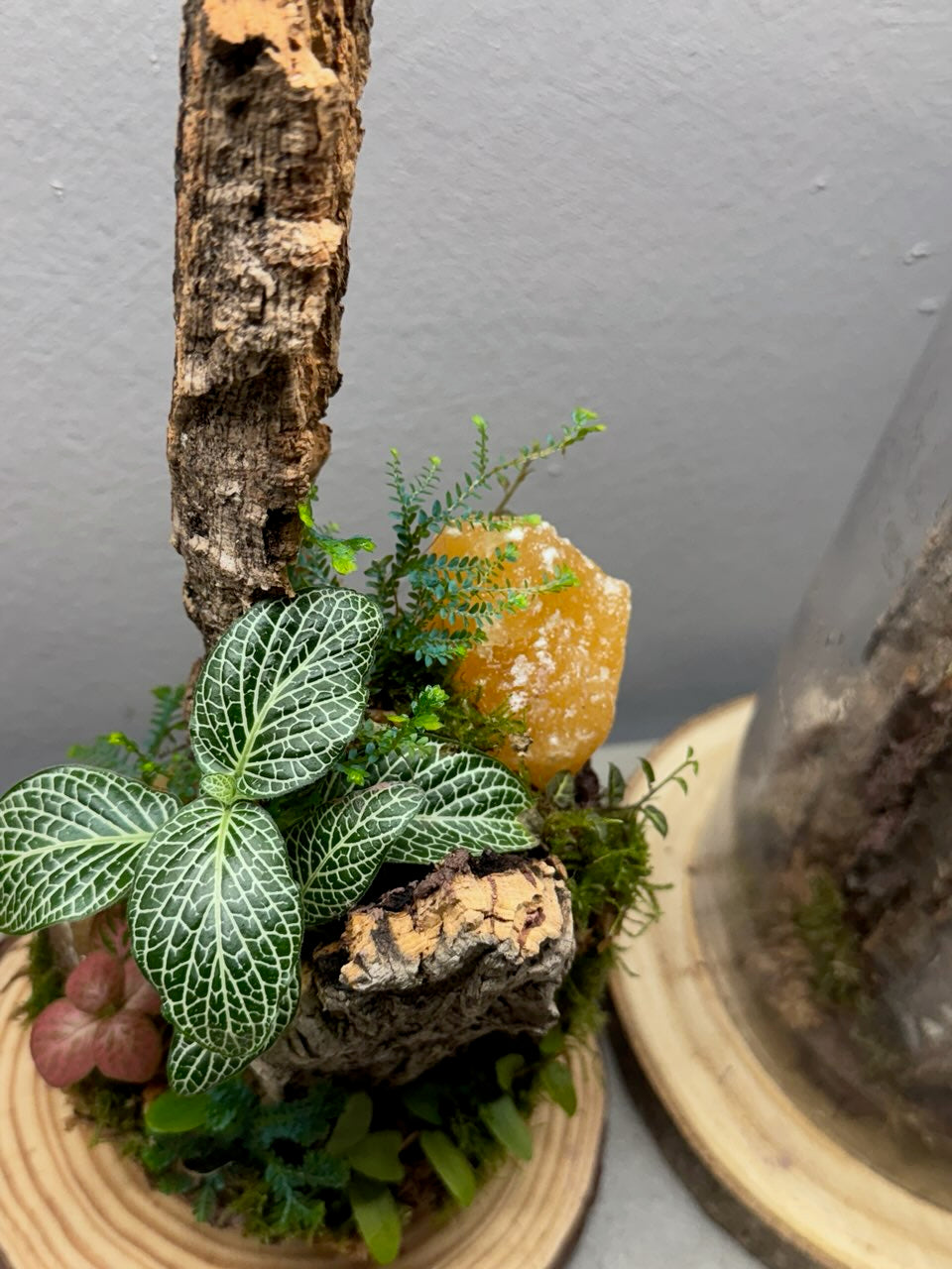 Crystal Terrarium