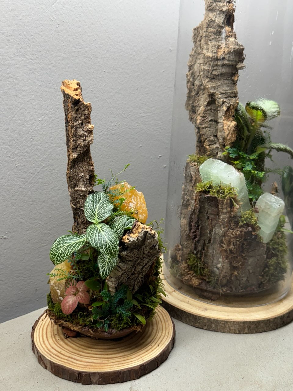 Crystal Terrarium