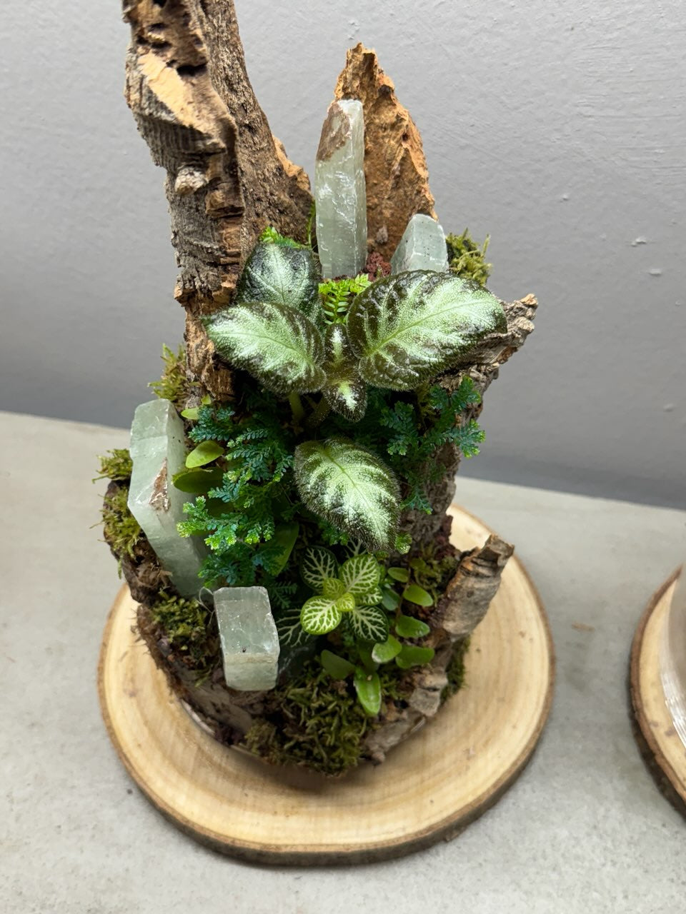 Crystal Terrarium