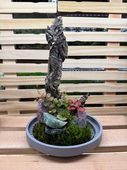 6x12 Amethyst and Jade Terrarium