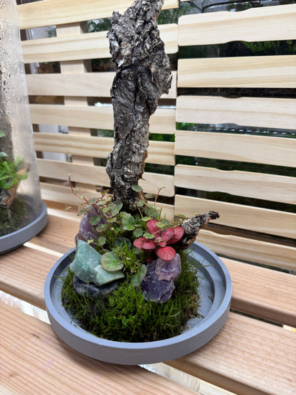 6x12 Amethyst and Jade Terrarium