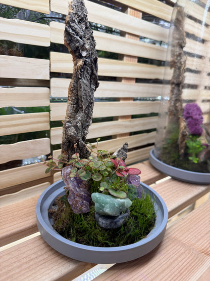 6x12 Amethyst and Jade Terrarium