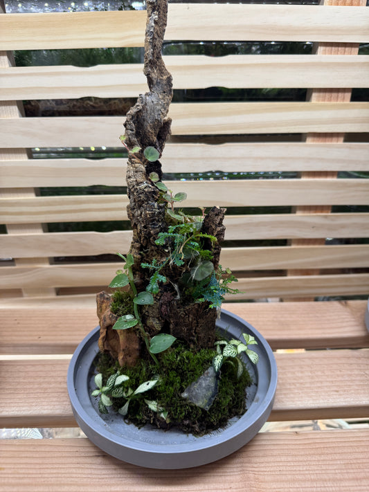 6x14 Red Tasper and Dragonstone Terrarium