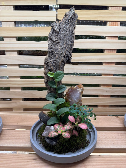 6x14 Carnelian Agate Terrarium