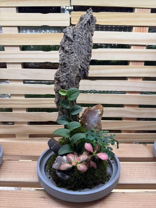 6x14 Carnelian Agate Terrarium