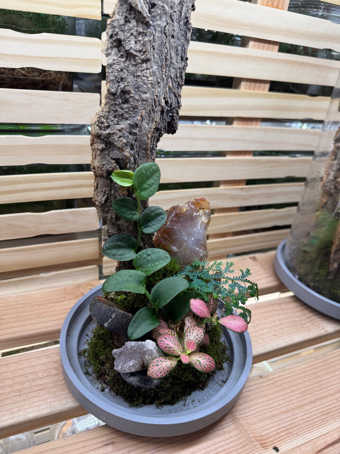 6x14 Carnelian Agate Terrarium