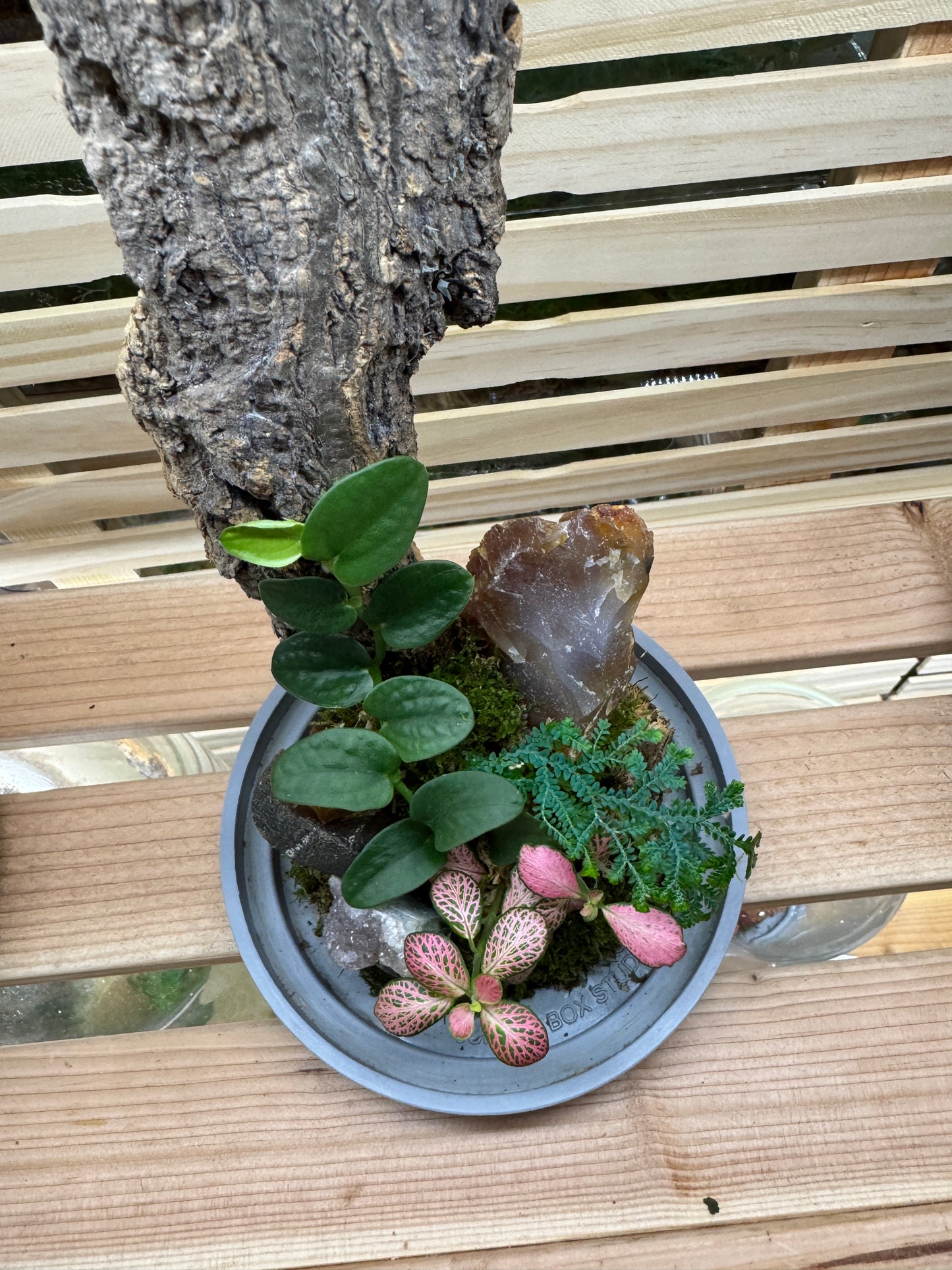 6x14 Carnelian Agate Terrarium