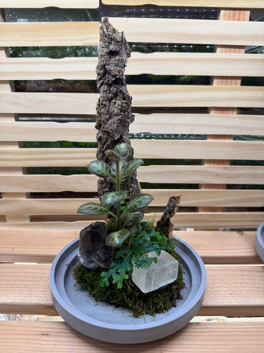 6x12 Smokey Quartz and Calcite Terrarium