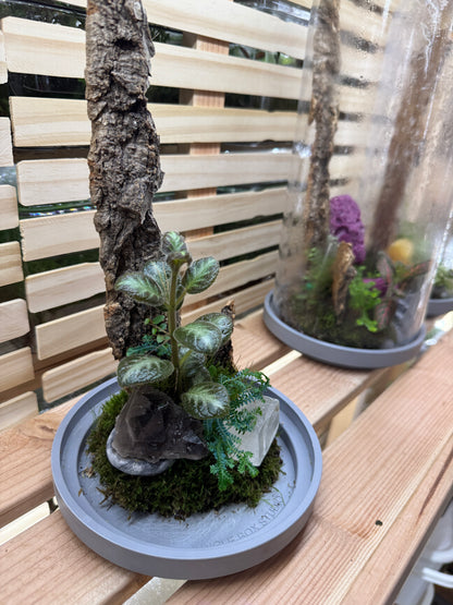 6x12 Smokey Quartz and Calcite Terrarium