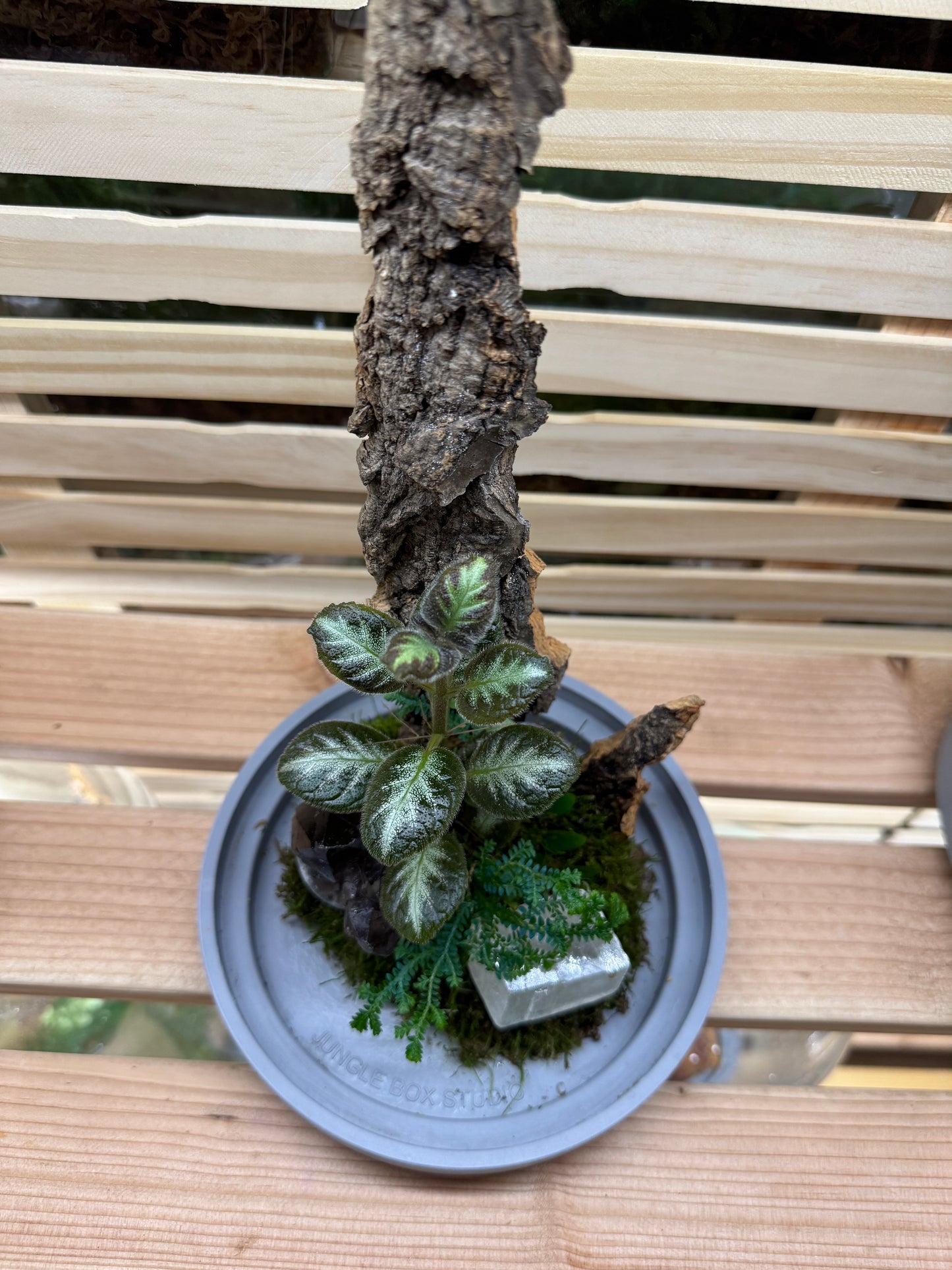 6x12 Smokey Quartz and Calcite Terrarium