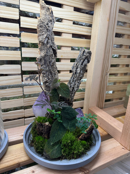 6x14 Dual Amethyst Terrarium