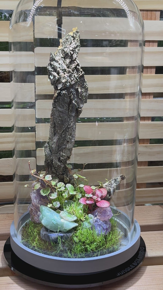 Terrarium Workshop Reservation
